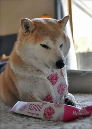 22日ブログ12.jpg