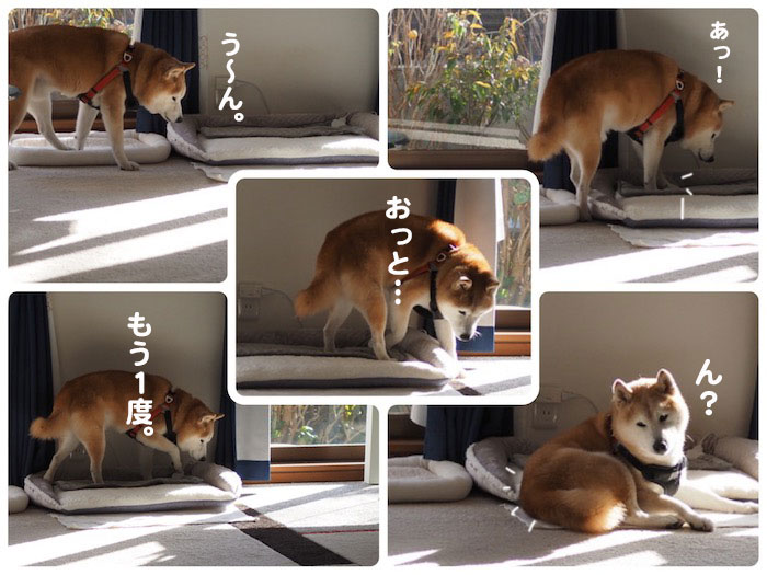 26日夕ブログ９