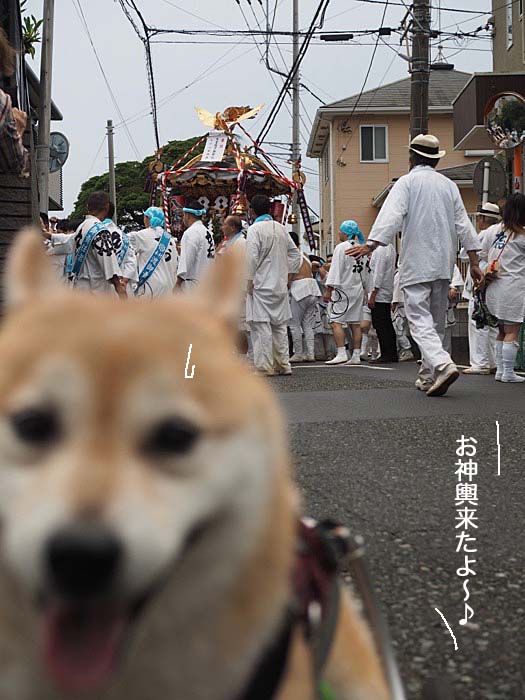 15日ブログ７