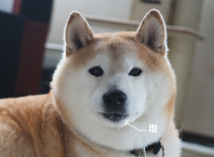 27日夕ブログ８