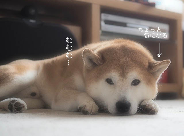 20日ブログ8