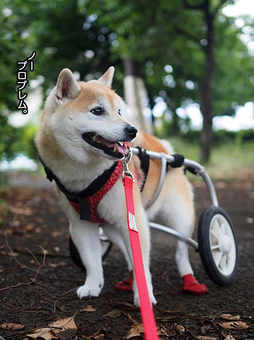 14日夜ブログ３