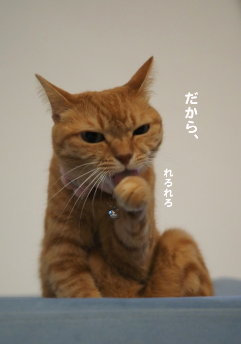 2日夕ブログ４