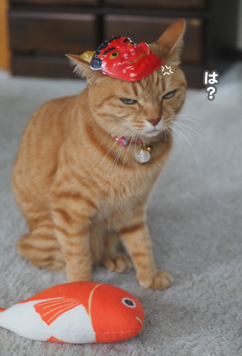 3日夕ブログ６