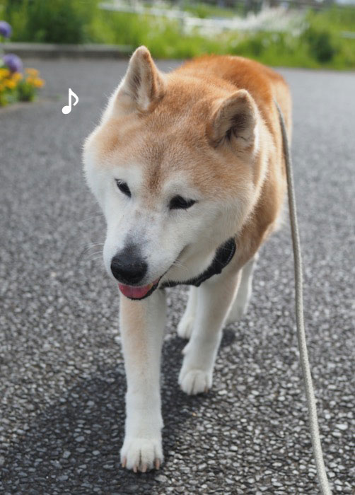 15日夕ブログ４