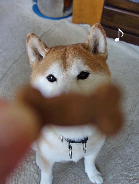 31日先ブログ3