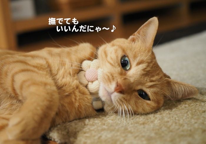 16日夕ブログ４