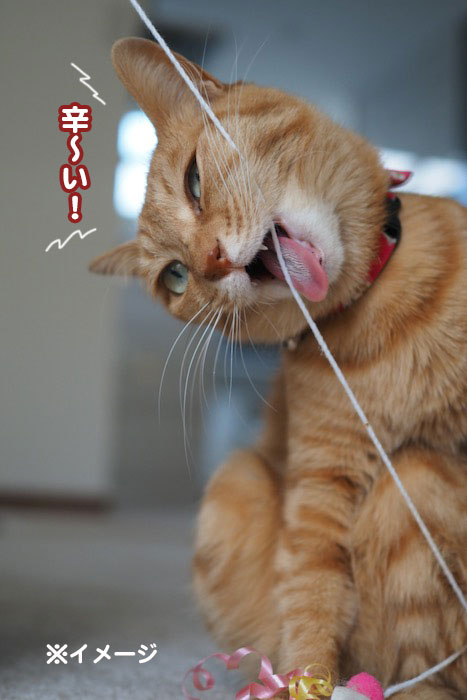 2日ブログ４