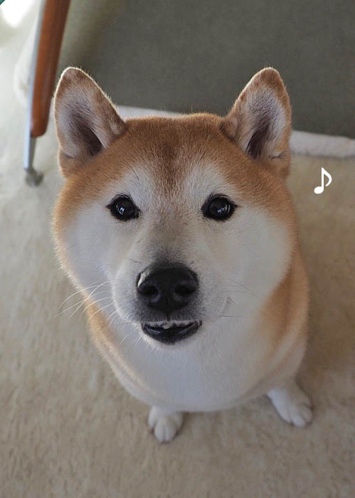 30日ブログ１３