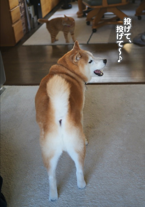 7日夕ブログ２
