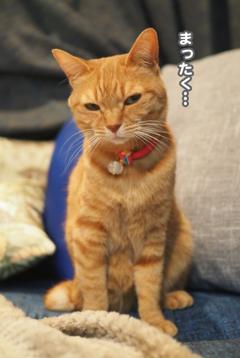 6日夕ブログ３