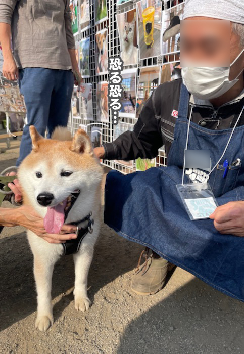5日夕ブログ５
