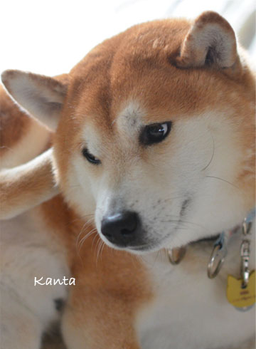 9日ブログ10.jpg