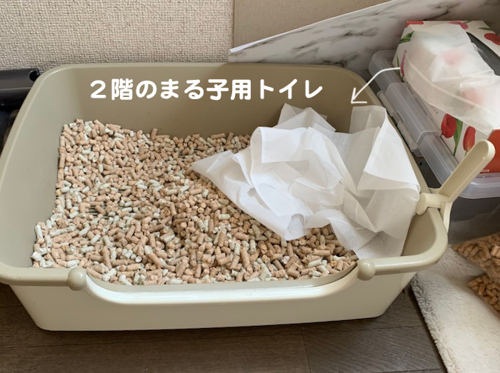 2日夕ブログ５