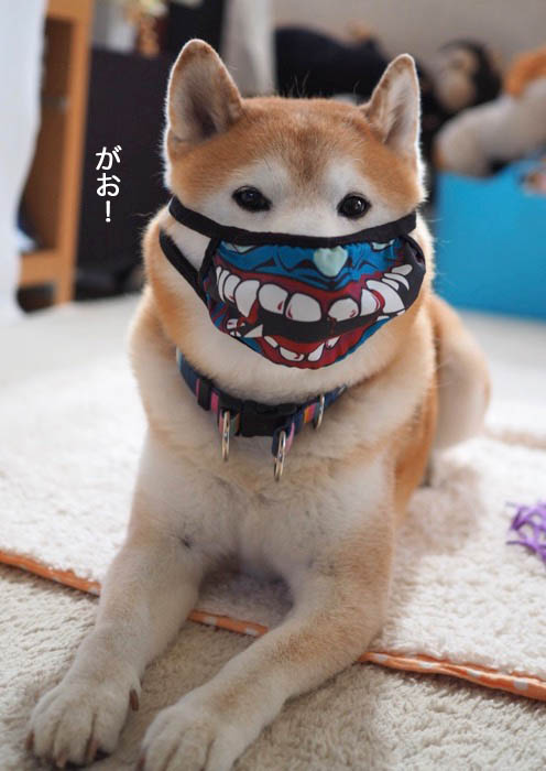 31日夜ブログ５