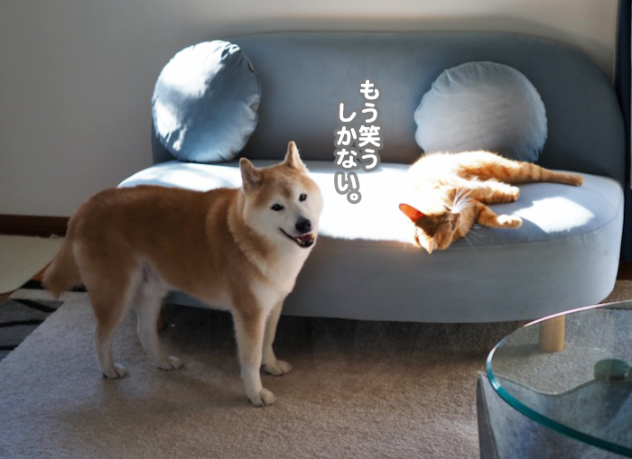 28日夕ブログ１０