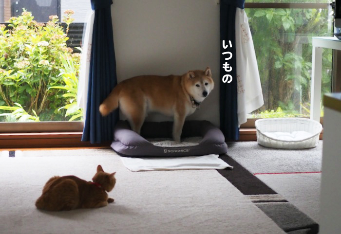 11日ブログ２