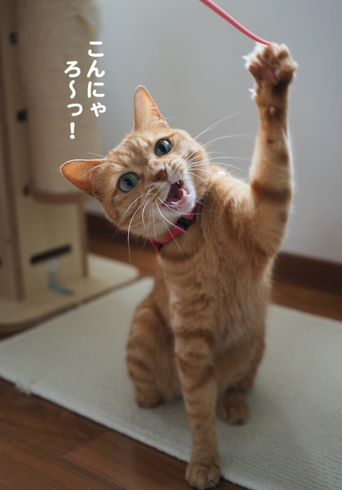 4日夕ブログ１０