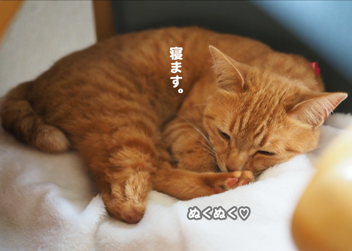 28日ブログ４
