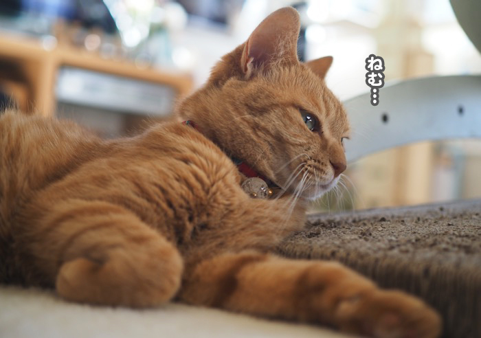 19日ブログ４