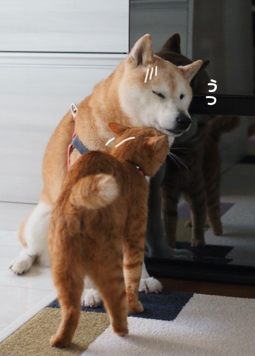 26日夕ブログ5
