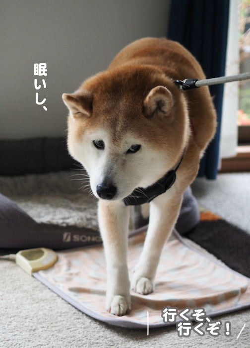 3日夕ブログ５