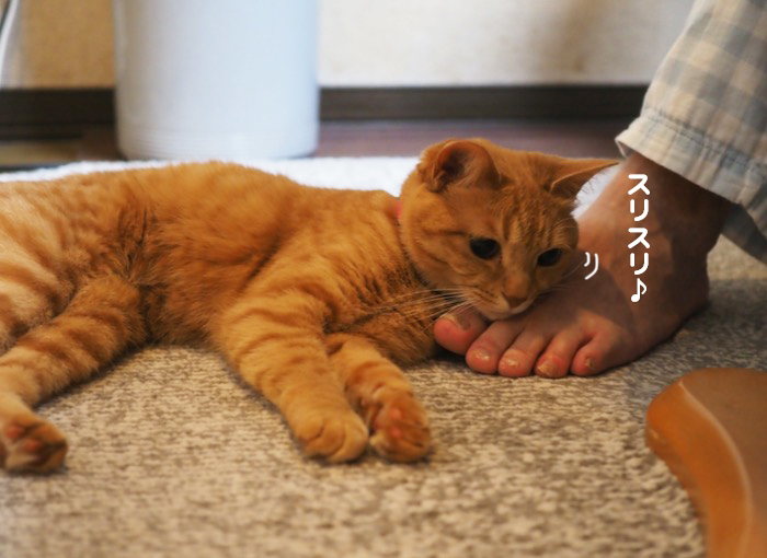 1日夕ブログ５