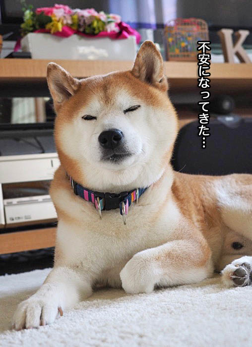 7日ブログ２