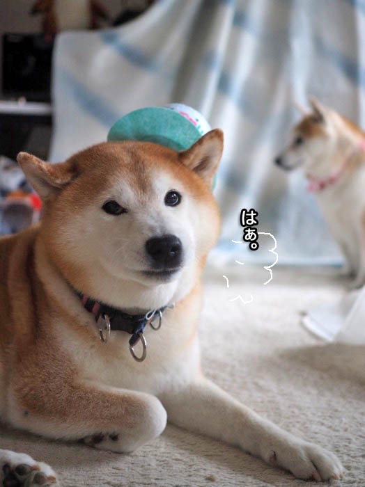 22日ブログ２