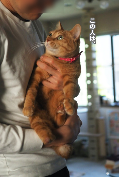 13日ブログ４