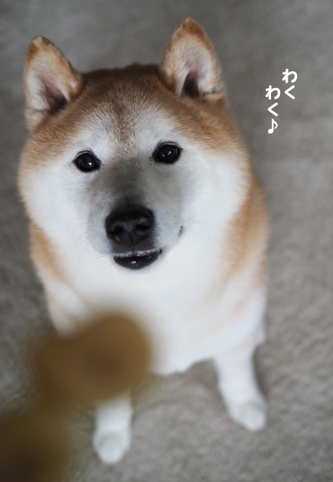 21日夕ブログ4