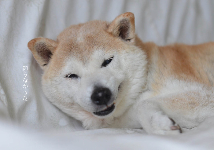 19日ブログ2