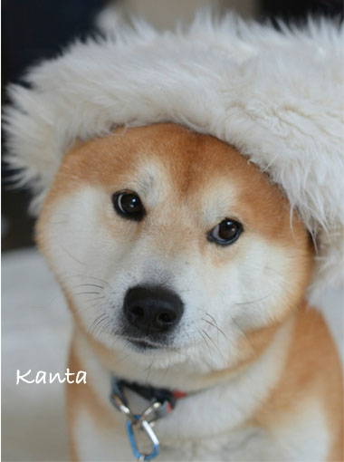 25日ブログ6.jpg