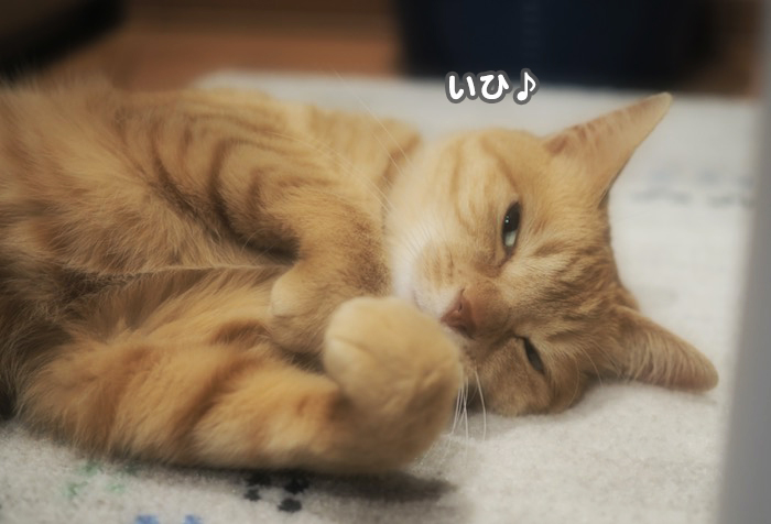 10日夕ブログ７