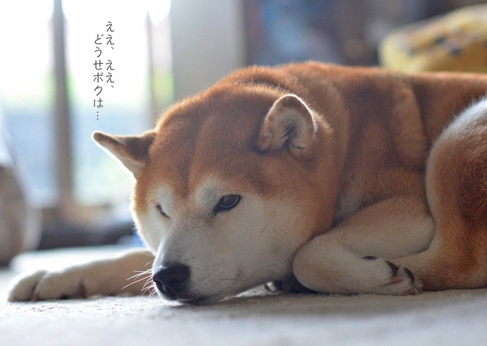 13日ブログ4