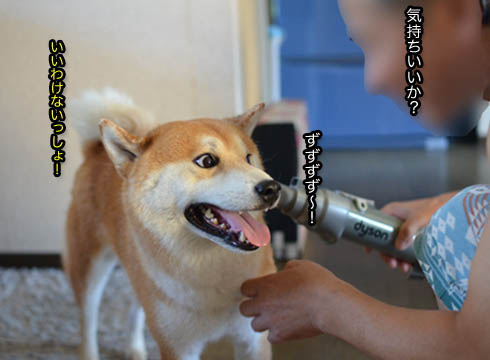 29日ブログ11.jpg