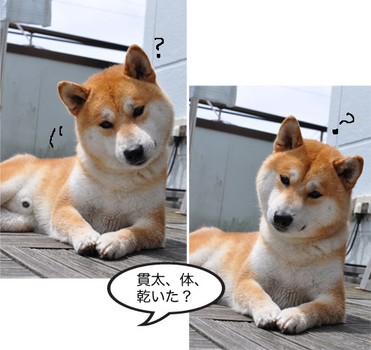27日ブログ10.jpg