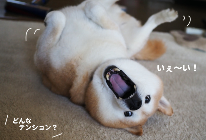 2日ブログ４