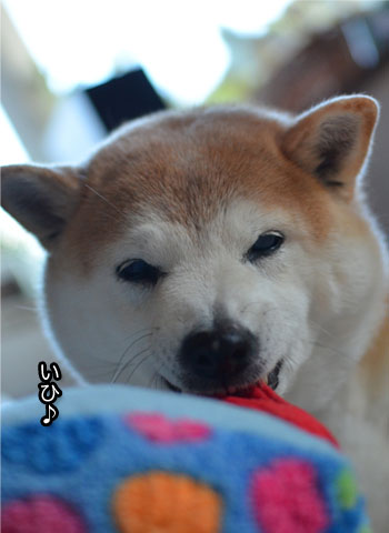 30日ブログ11.jpg