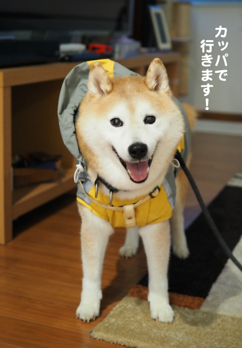 4日ブログ２