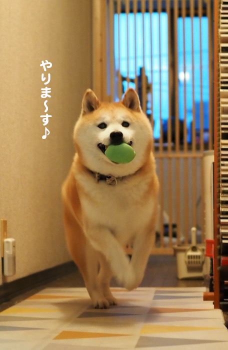 6日夕ブログ５