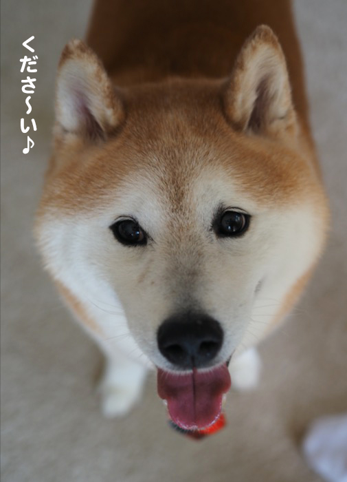 14日夕ブログ３