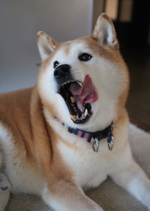 14日ブログ２