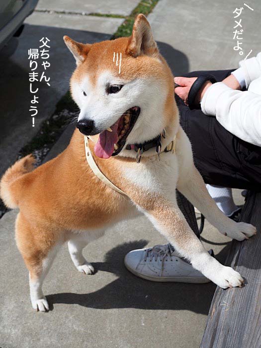 14日ブログ５