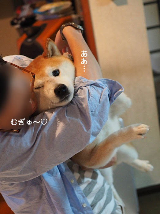 16日ブログ９