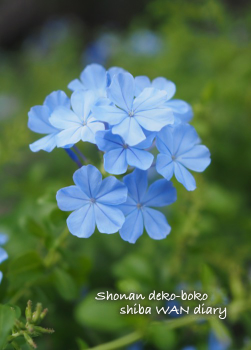 21日夕ブログ１