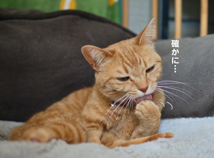 15日ブログ４