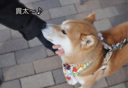 4日ブログ26.jpg
