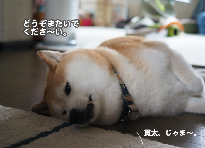 11日夕ブログ3