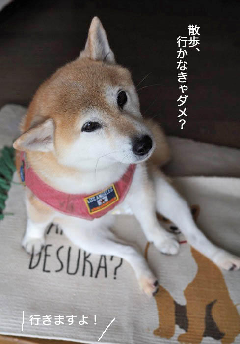 27日夜ブログ２